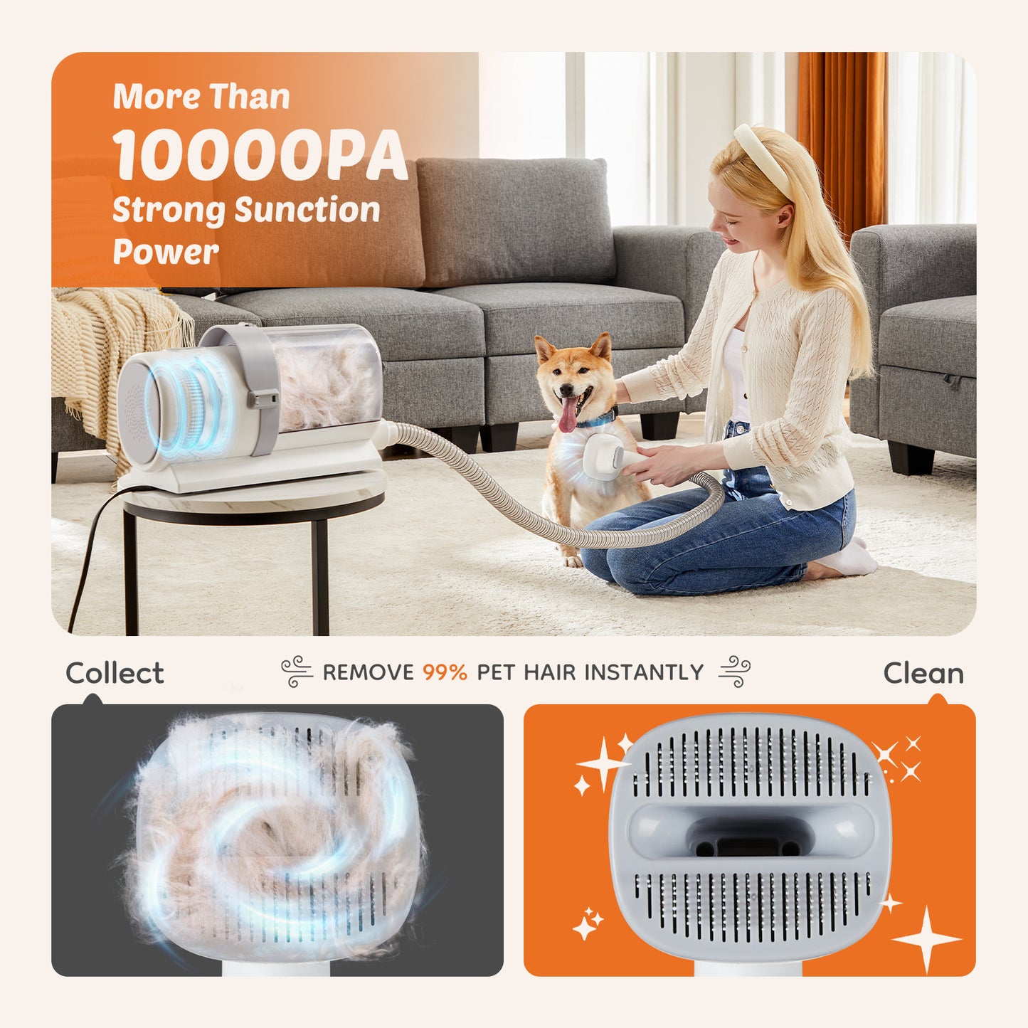 Low Noise Pet Hair Trimmer with Vacuum – Professional Dog Grooming Kit, 6 Attachments, 2.5L Dust Cup, Detachable Blades, Quiet Operation ≤65dB